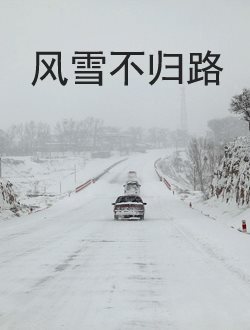 风雪不归路剧情介绍