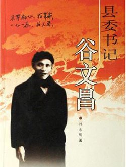 县委书记谷文昌剧情介绍